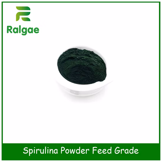 Grado de alimentación de algas naturales espirulina para Livstock CAS 724424
