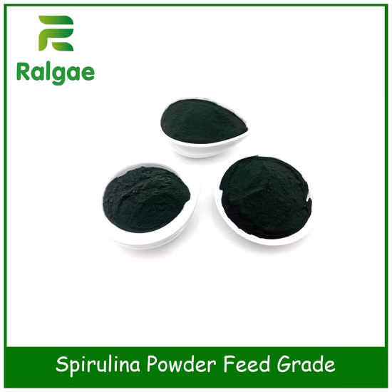 Suplemento de nutrición animal Microalgas de grado alimentario Spirulina CAS 724424