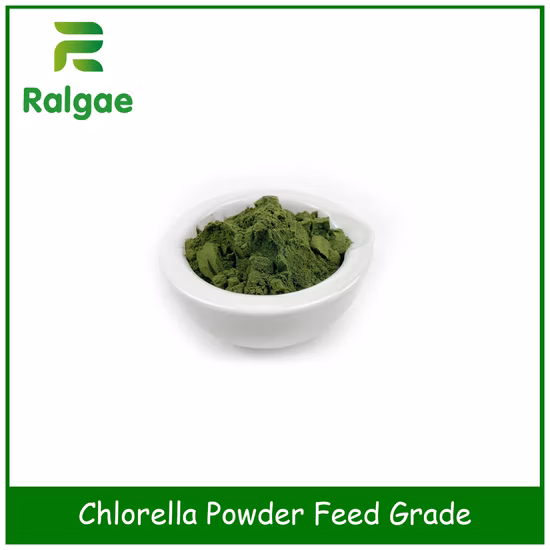 Aditivo de nutrición animal de microalgas en polvo de Chlorella de grado alimentario